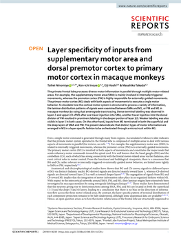 Layer Specificity of Inputs from Supplementary Motor Area And