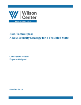 Plan Tamaulipas: a New Security Strategy for a Troubled State