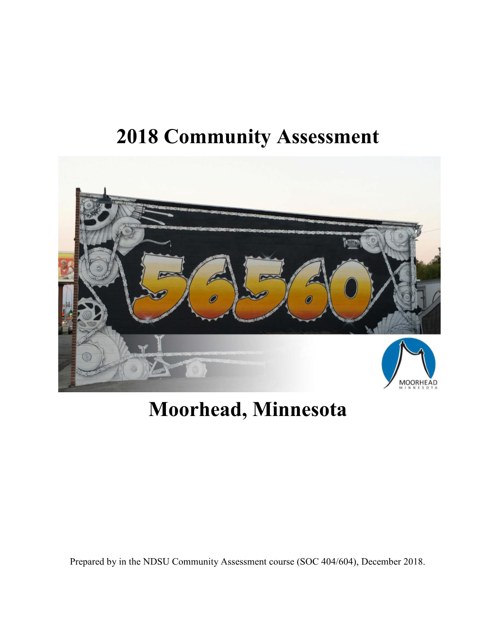 2018 Community Assessment Moorhead, Minnesota