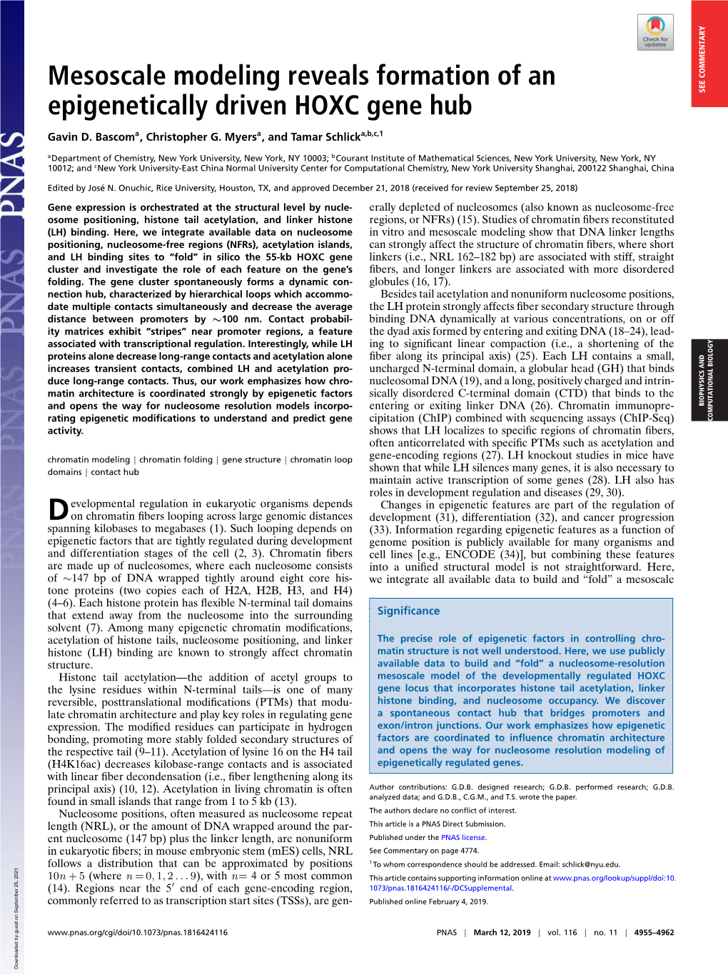 Mesoscale Modeling Reveals Formation of an Epigenetically Driven HOXC Gene