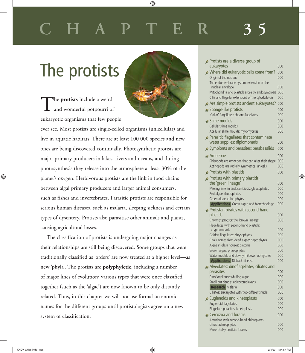 The Protists