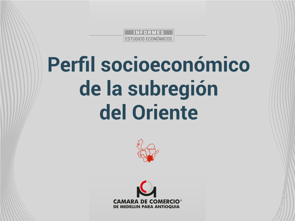 Perfil Socioeconómico De La Subregión Del Oriente