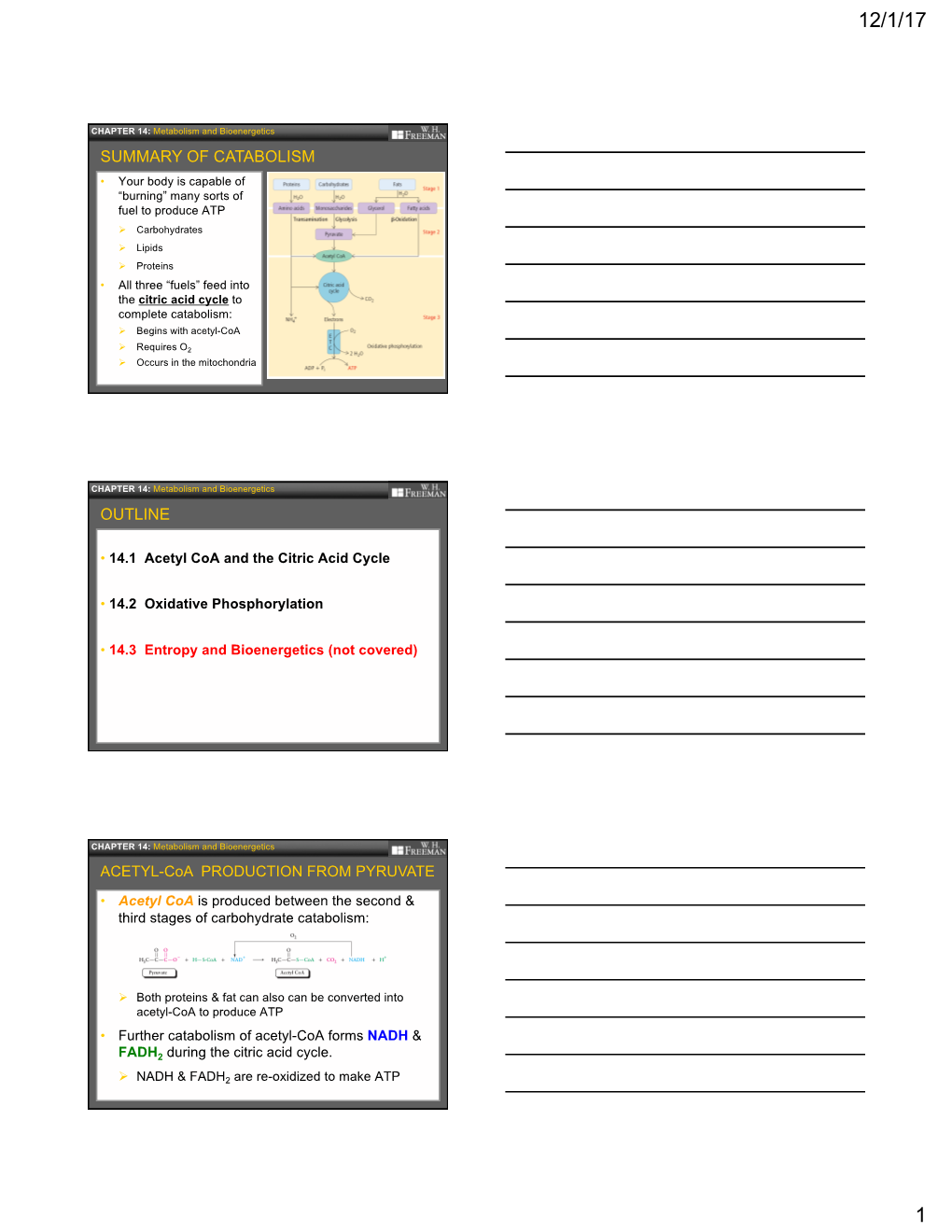 Chapter 14 Slides 2017