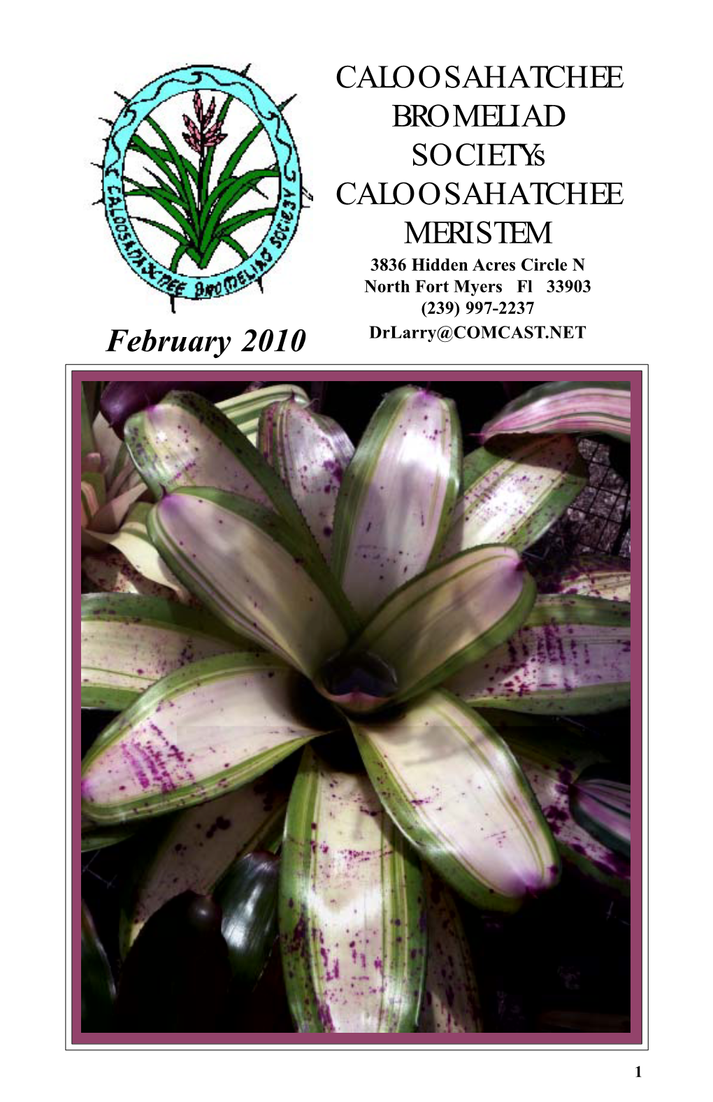 Caloosahatchee Bromeliad Society Officers