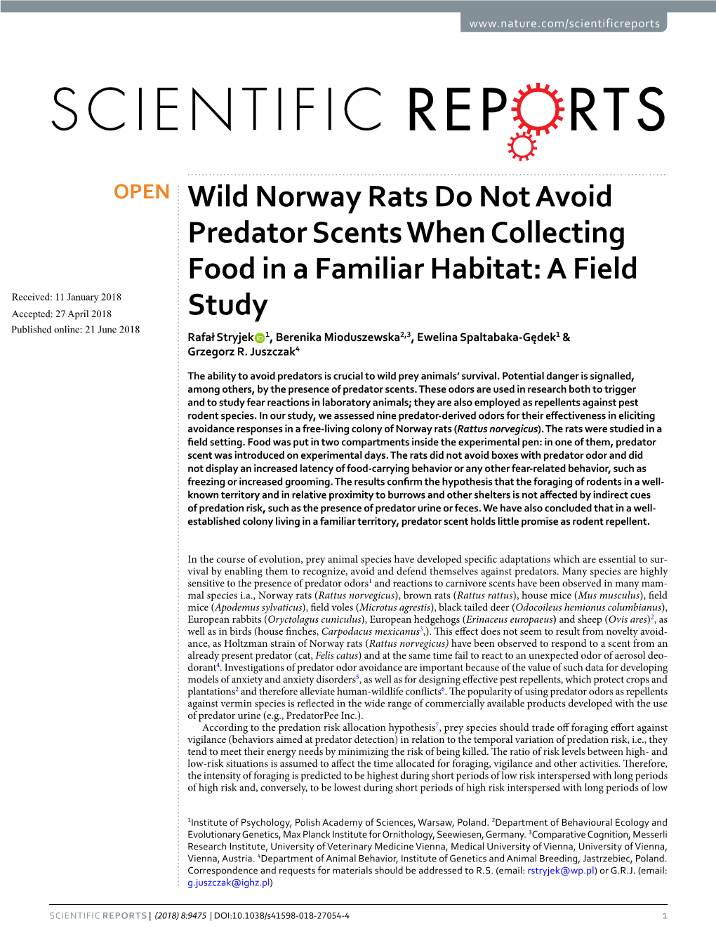 Wild Norway Rats Do Not Avoid Predator Scents When