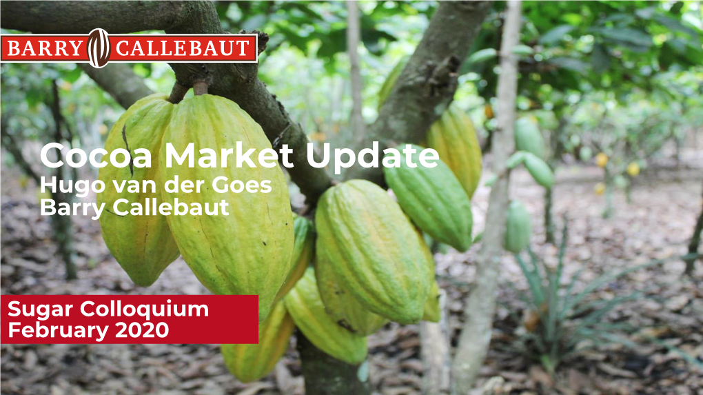 Monthly Cocoa Market Update