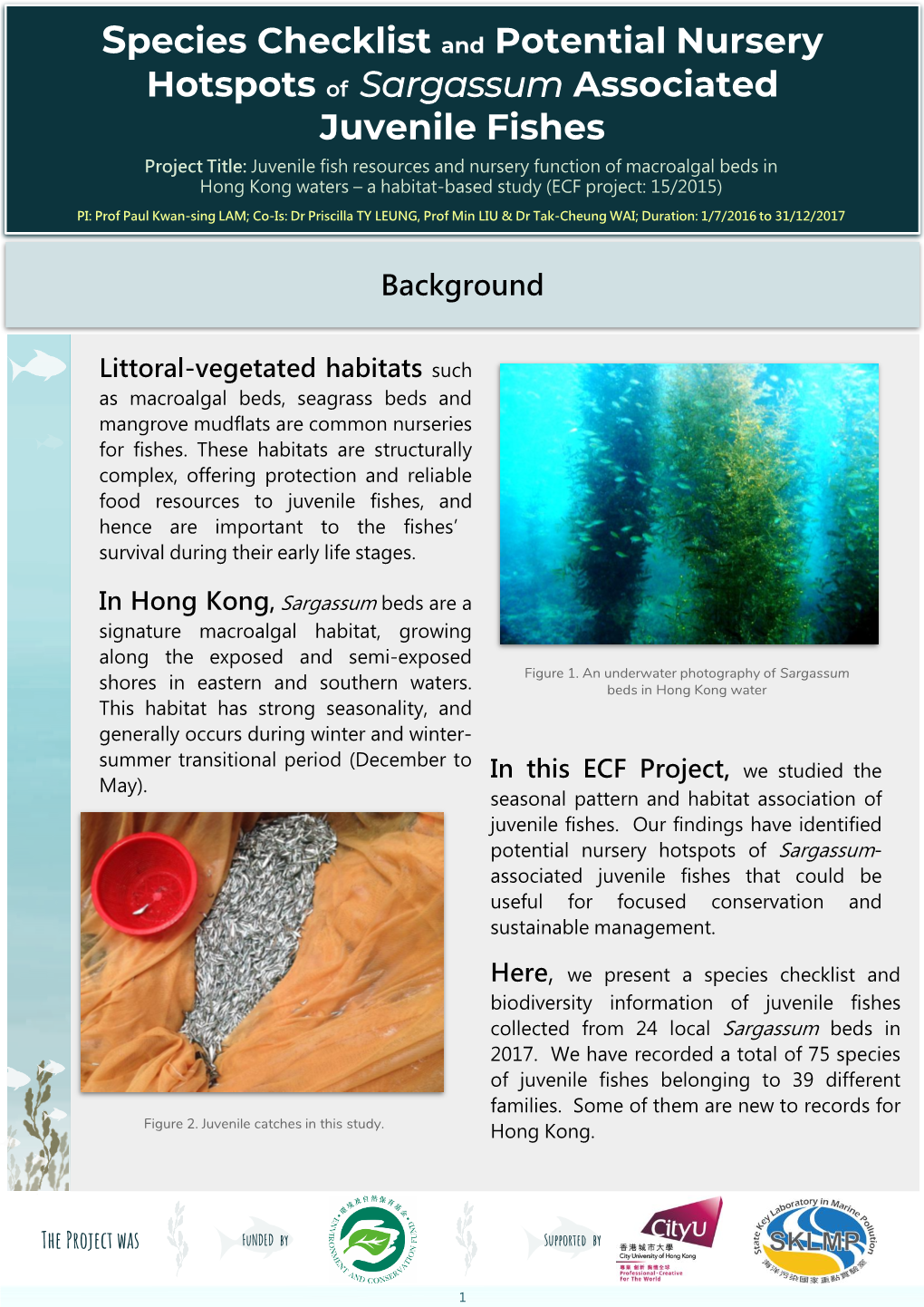 Hotspots of Sargassum Associated Juvenile Fishes Project Title: Juvenile Fish Resources and Nursery Function of Macroalgal Beds In