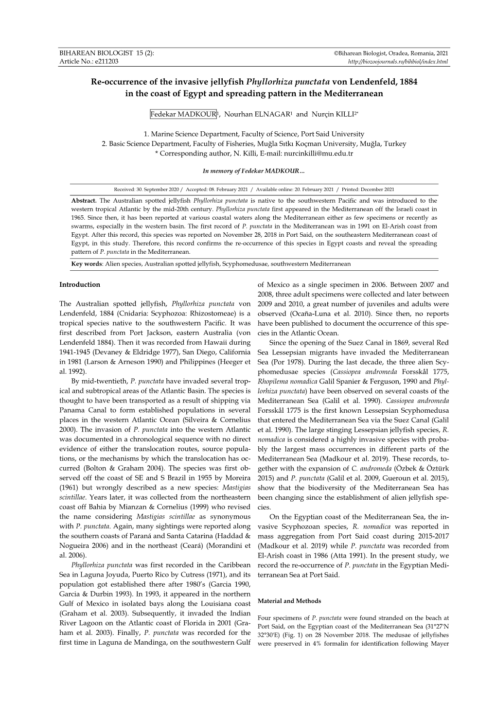 Re-Occurrence of the Invasive Jellyfish Phyllorhiza Punctata Von Lendenfeld, 1884 in the Coast of Egypt and Spreading Pattern in the Mediterranean