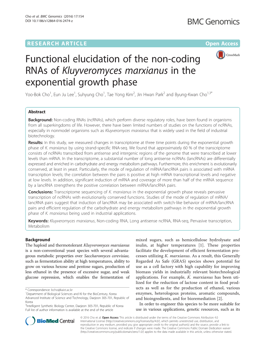 Functional Elucidation of the Non-Coding Rnas Of