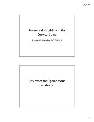 Segmental Instability in the Cervical Spine Review of the Ligamentous