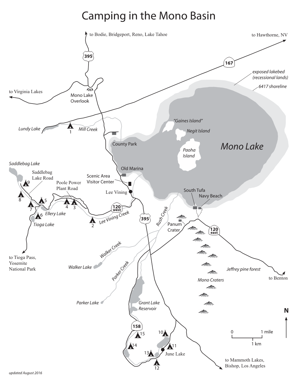 Mono Basin Camping