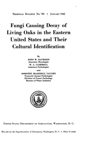Fungi Causing Decay of Living Oaks in the Eastern United States and Their Cukural Identification