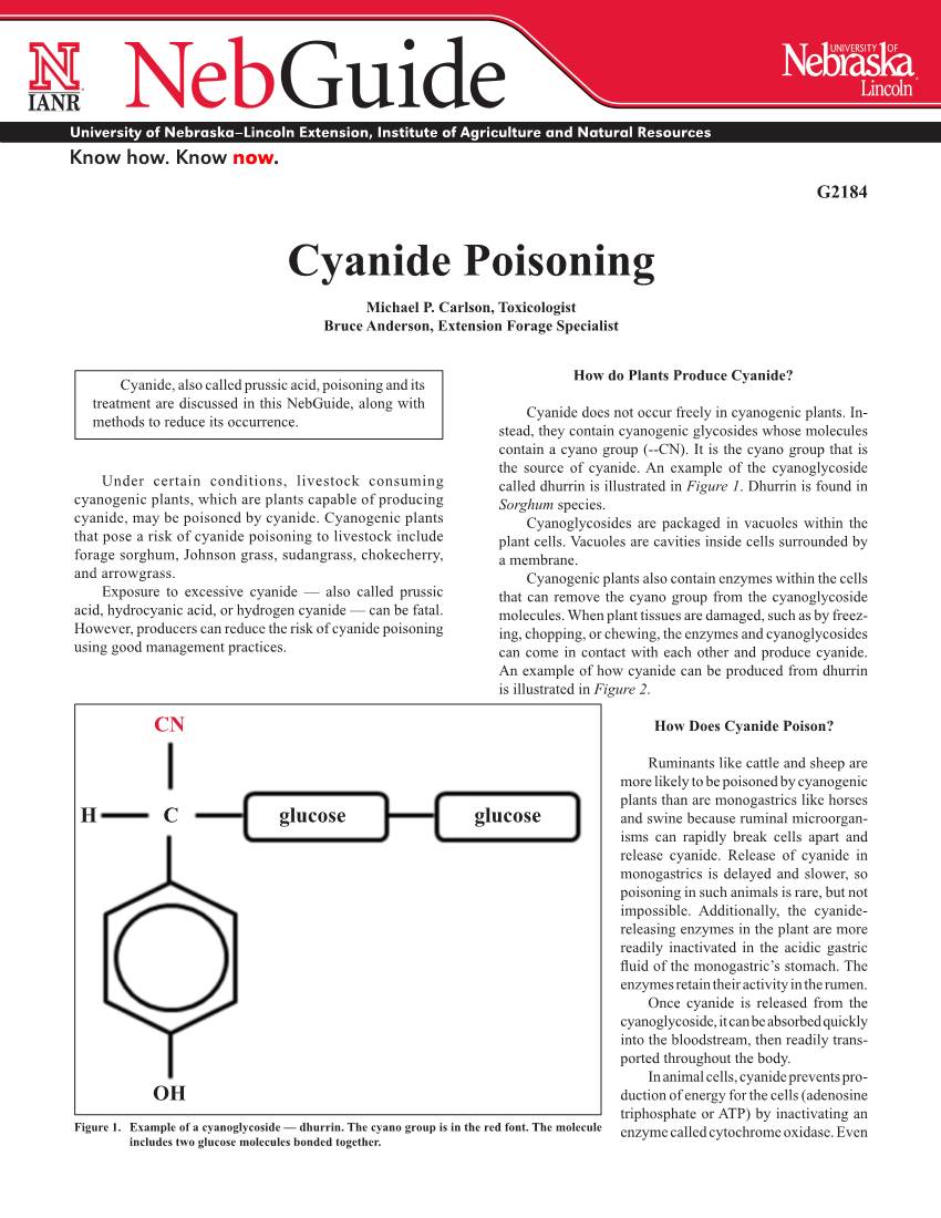 Cyanide Poisoning Michael P