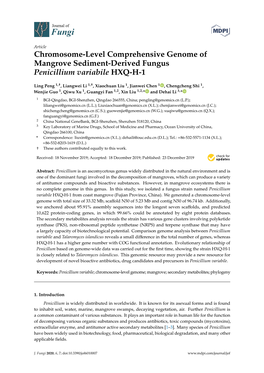 Chromosome-Level Comprehensive Genome of Mangrove Sediment-Derived Fungus Penicillium Variabile HXQ-H-1
