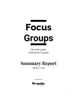 Focus Groups Summary Report 2