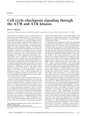 Cell Cycle Checkpoint Signaling Through the ATM and ATR Kinases