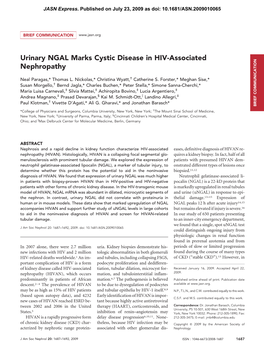 Urinary NGAL Marks Cystic Disease in HIV-Associated Nephropathy