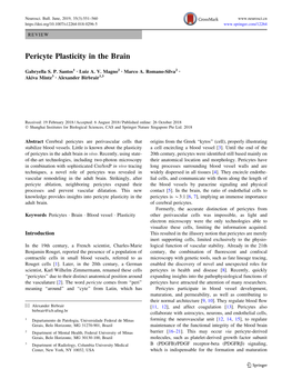 Pericyte Plasticity in the Brain