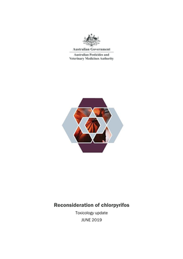 Reconsideration of Chlorpyrifos: 2019 Toxicology Update