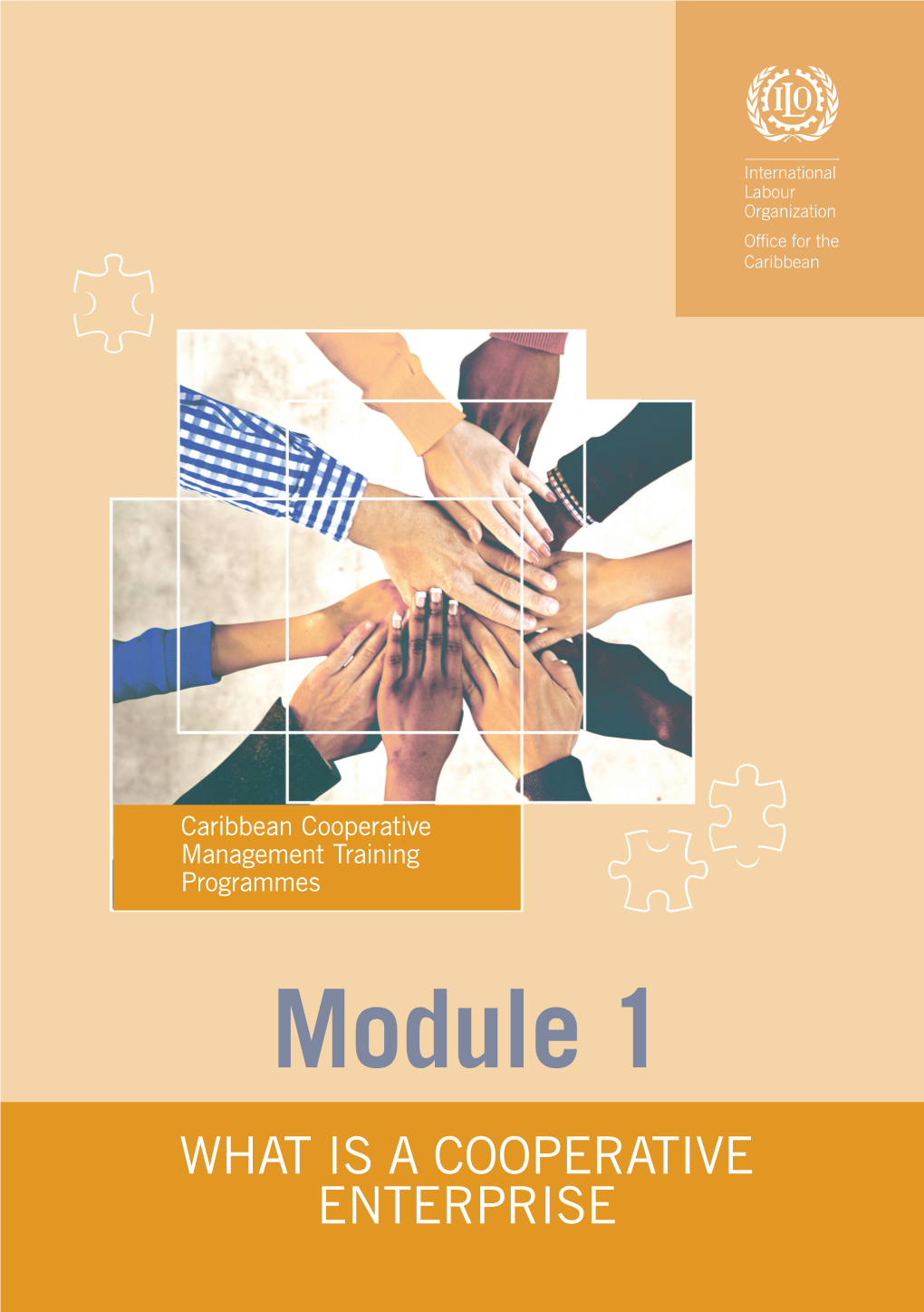 Caribbean Cooperative Management Training Programmes: Module 1