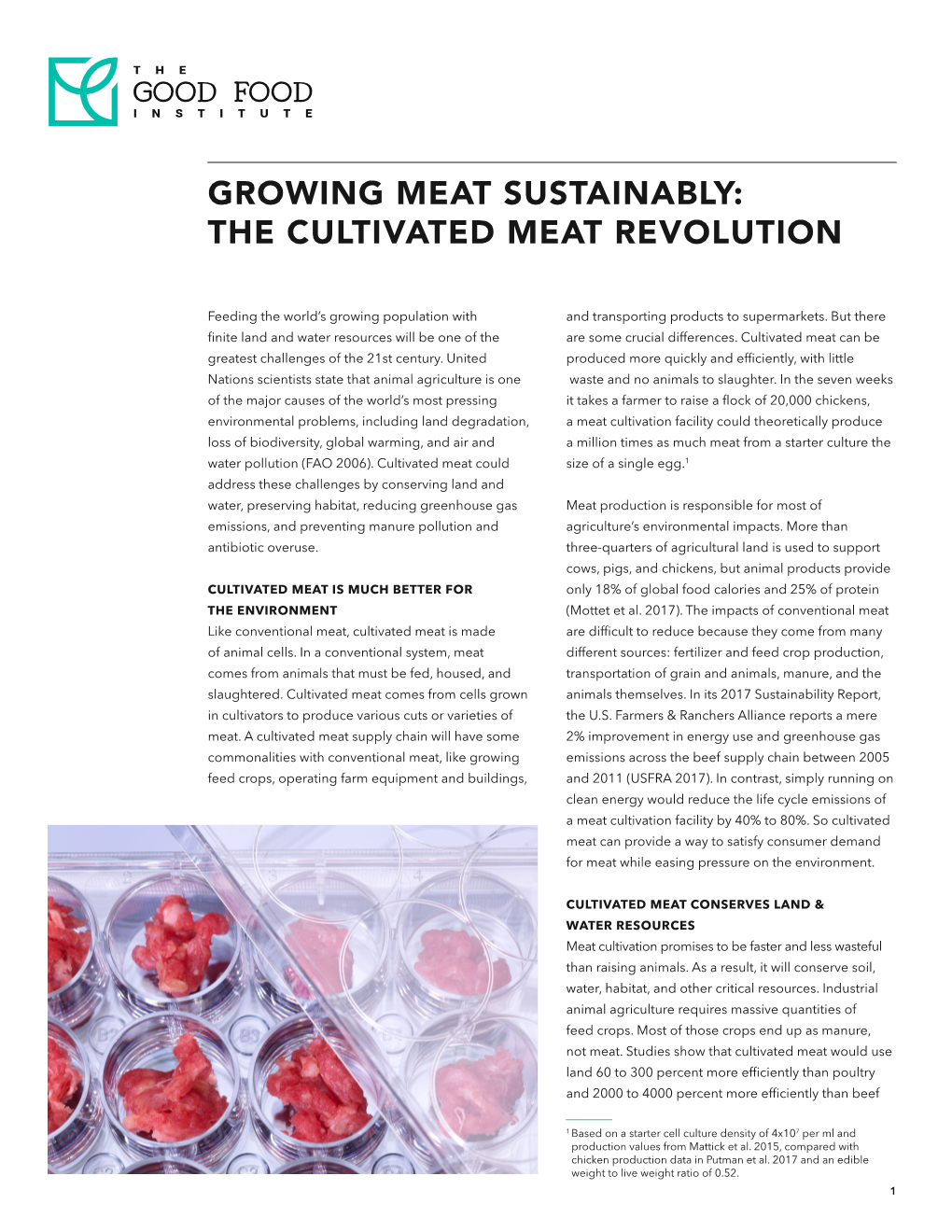 Growing Meat Sustainably: the Cultivated Meat Revolution
