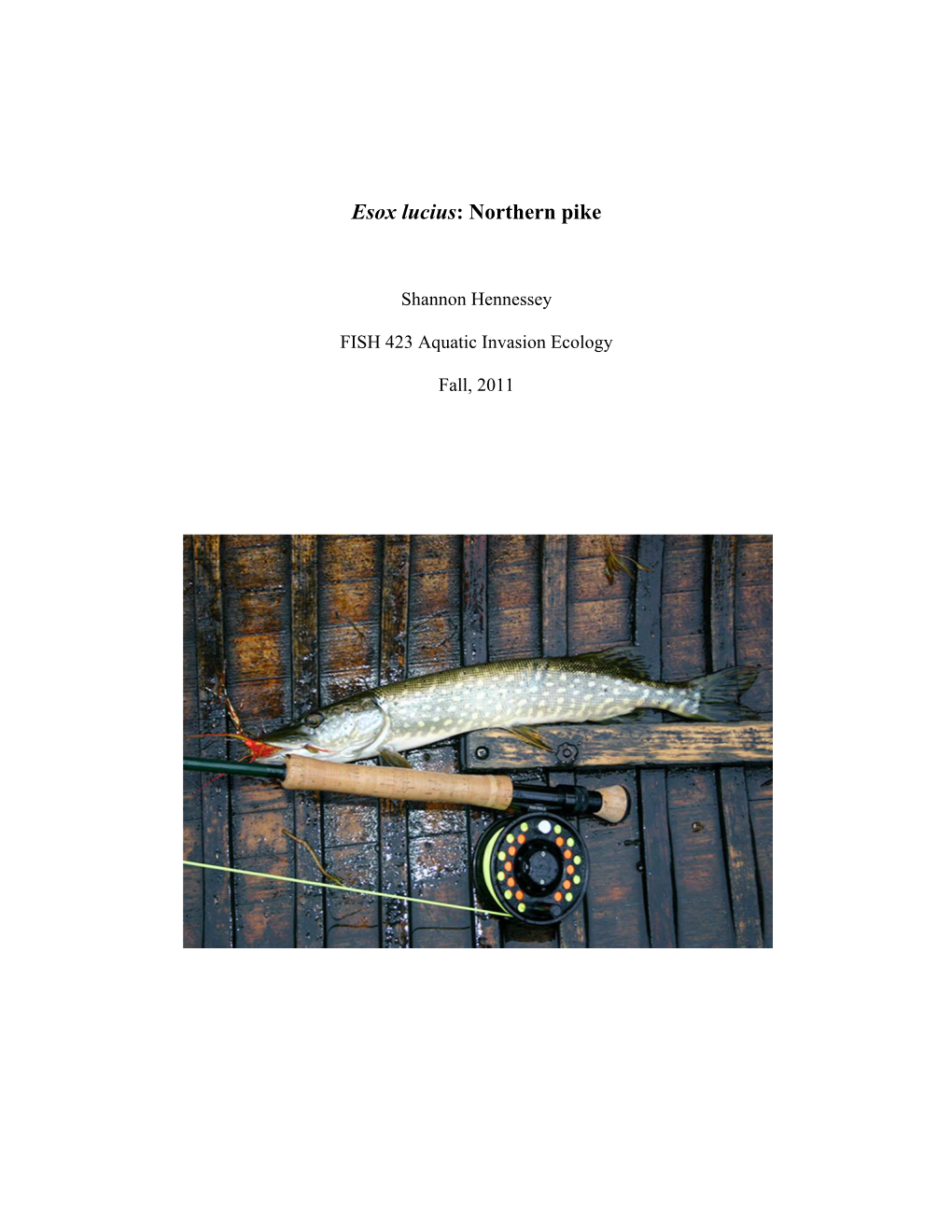 Esox Lucius: Northern Pike