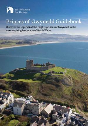Princes of Gwynedd Guidebook