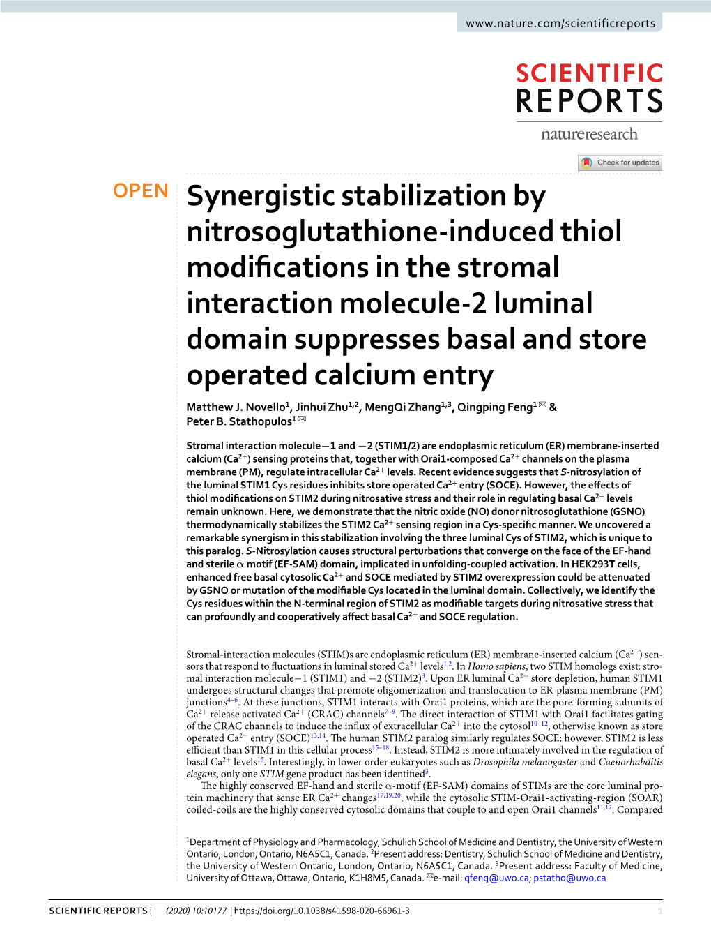 Synergistic Stabilization by Nitrosoglutathione-Induced Thiol Modifications in the Stromal Interaction Molecule-2 Luminal Domain