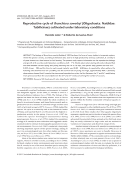 Reproductive Cycle of Branchiura Sowerbyi (Oligochaeta: Naididae: Tubificinae) Cultivated Under Laboratory Conditions