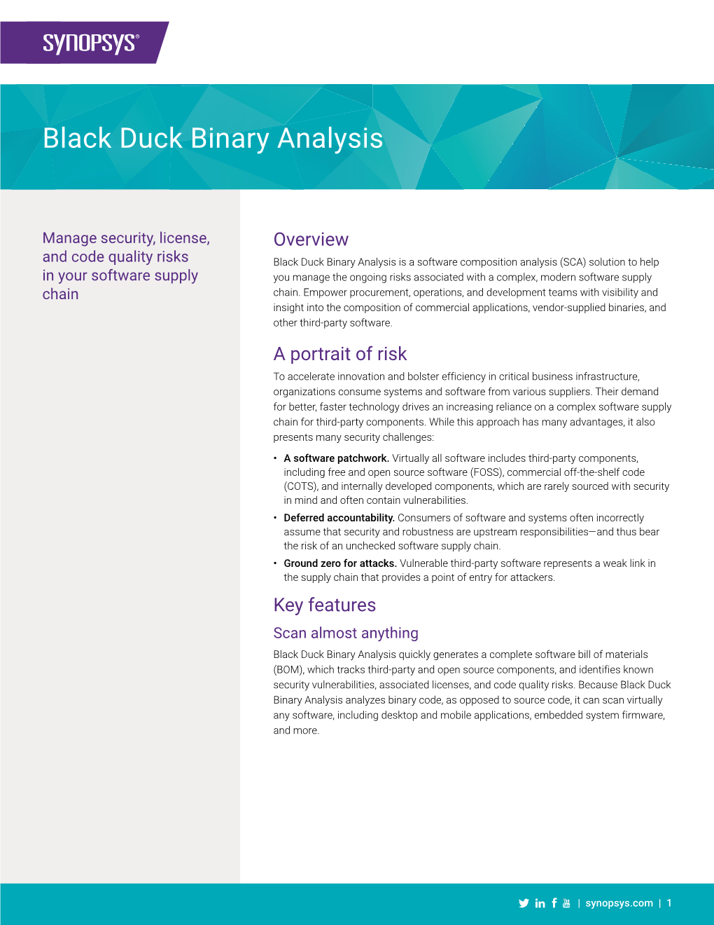 Black Duck Binary Analysis