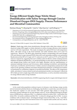 Energy-Efficient Single-Stage Nitrite Shunt Denitrification with Saline