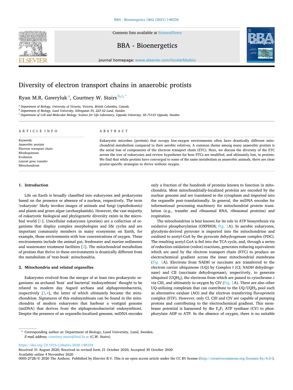 Diversity of Electron Transport Chains in Anaerobic Protists