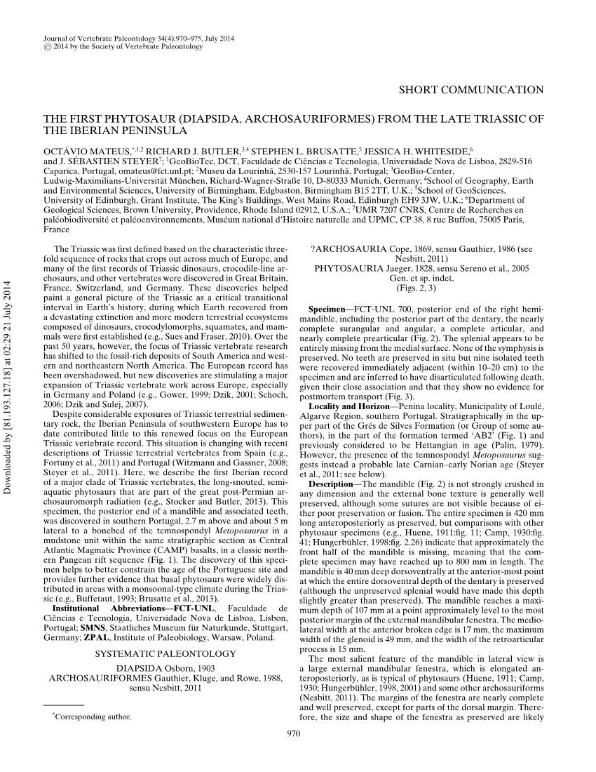 Short Communication the First Phytosaur (Diapsida