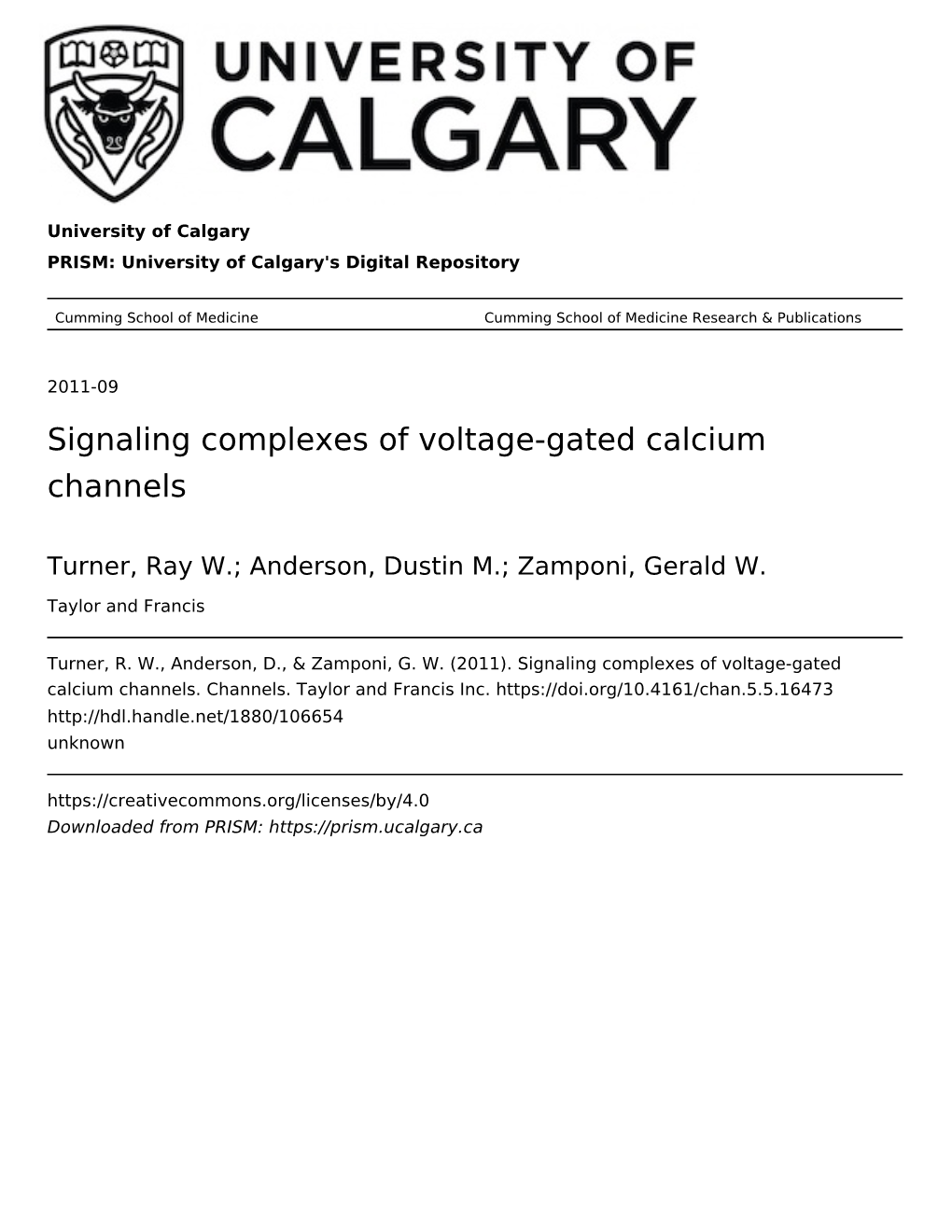 Signaling Complexes of Voltage-Gated Calcium Channels