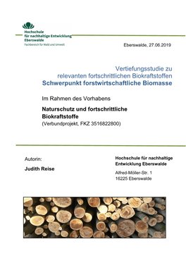 Vertiefungsstudie Forstwirtschaftliche Biomasse