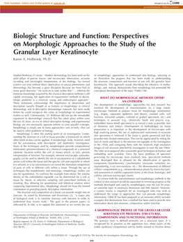 Perspectives on Morphologic Approaches to the Study of the Granular Layer Keratinocyte Karen A