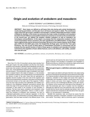 Origin and Evolution of Endoderm and Mesoderm