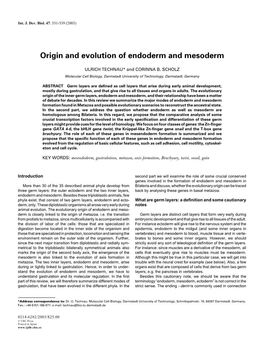 Origin and Evolution of Endoderm and Mesoderm