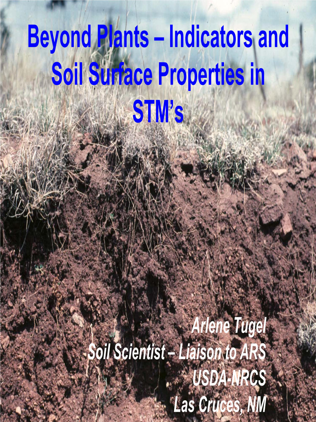 Why Is Soil Quality Important?
