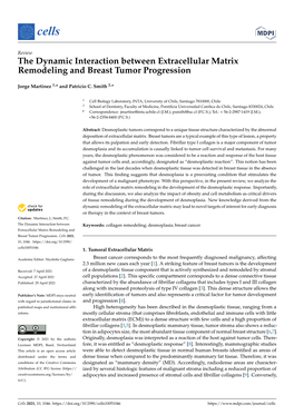 The Dynamic Interaction Between Extracellular Matrix Remodeling and Breast Tumor Progression