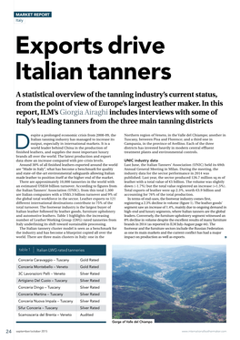 Exports Drive Italian Tanners a Statistical Overview of the Tanning Industry’S Current Status, from the Point of View of Europe’S Largest Leather Maker