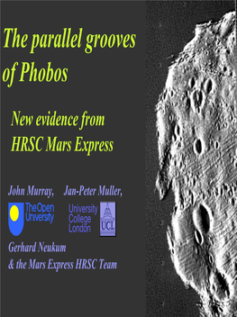 The Parallel Grooves of Phobos