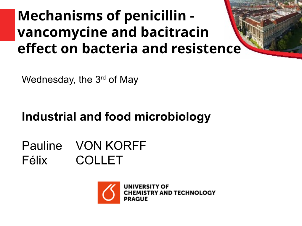 Vancomycine and Bacitracin Effect on Bacteria and Resistence