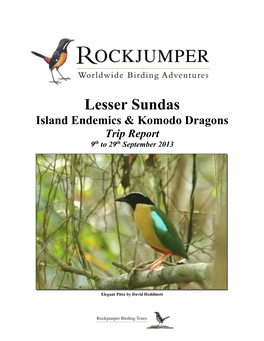 Lesser Sundas Island Endemics & Komodo Dragons Trip Report 9Th to 29Th September 2013