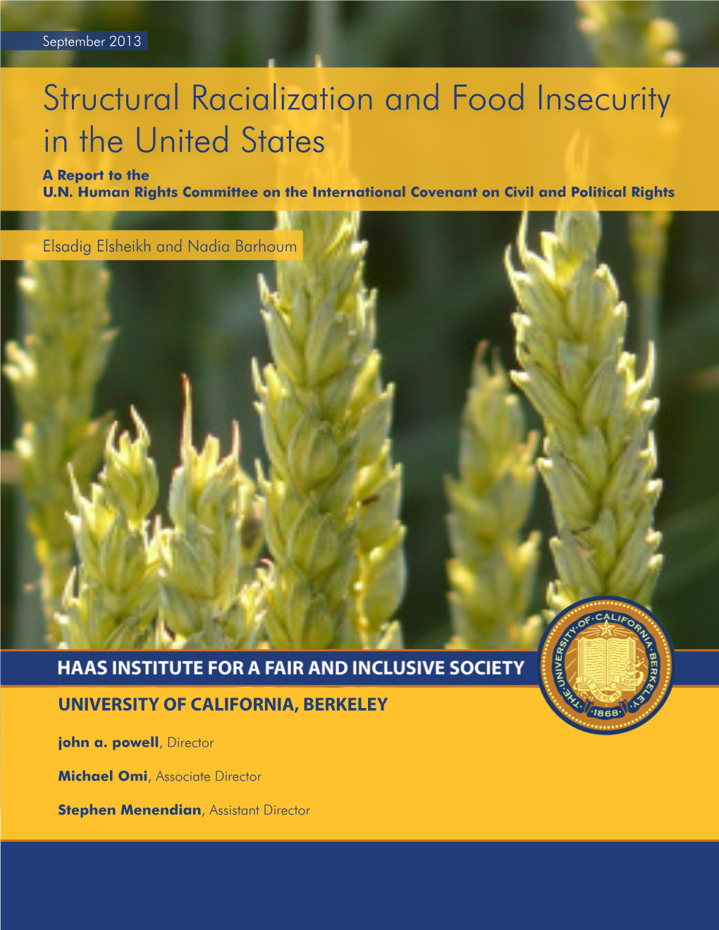 Structural Racialization and Food Insecurity in the United States a Report to the U.N