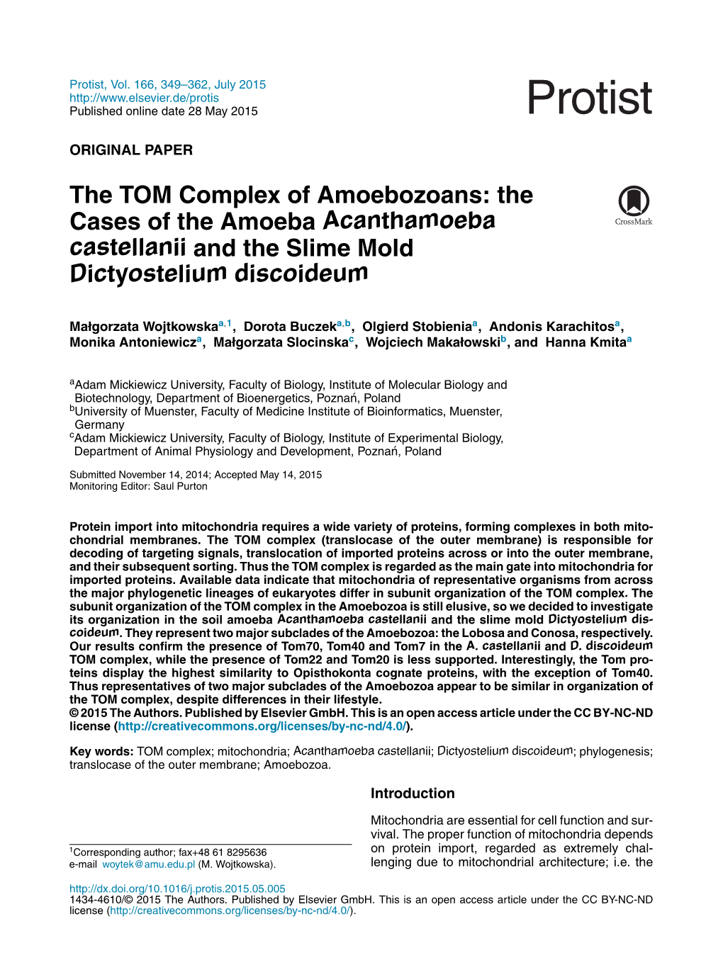 The TOM Complex of Amoebozoans: the Cases of the Amoeba