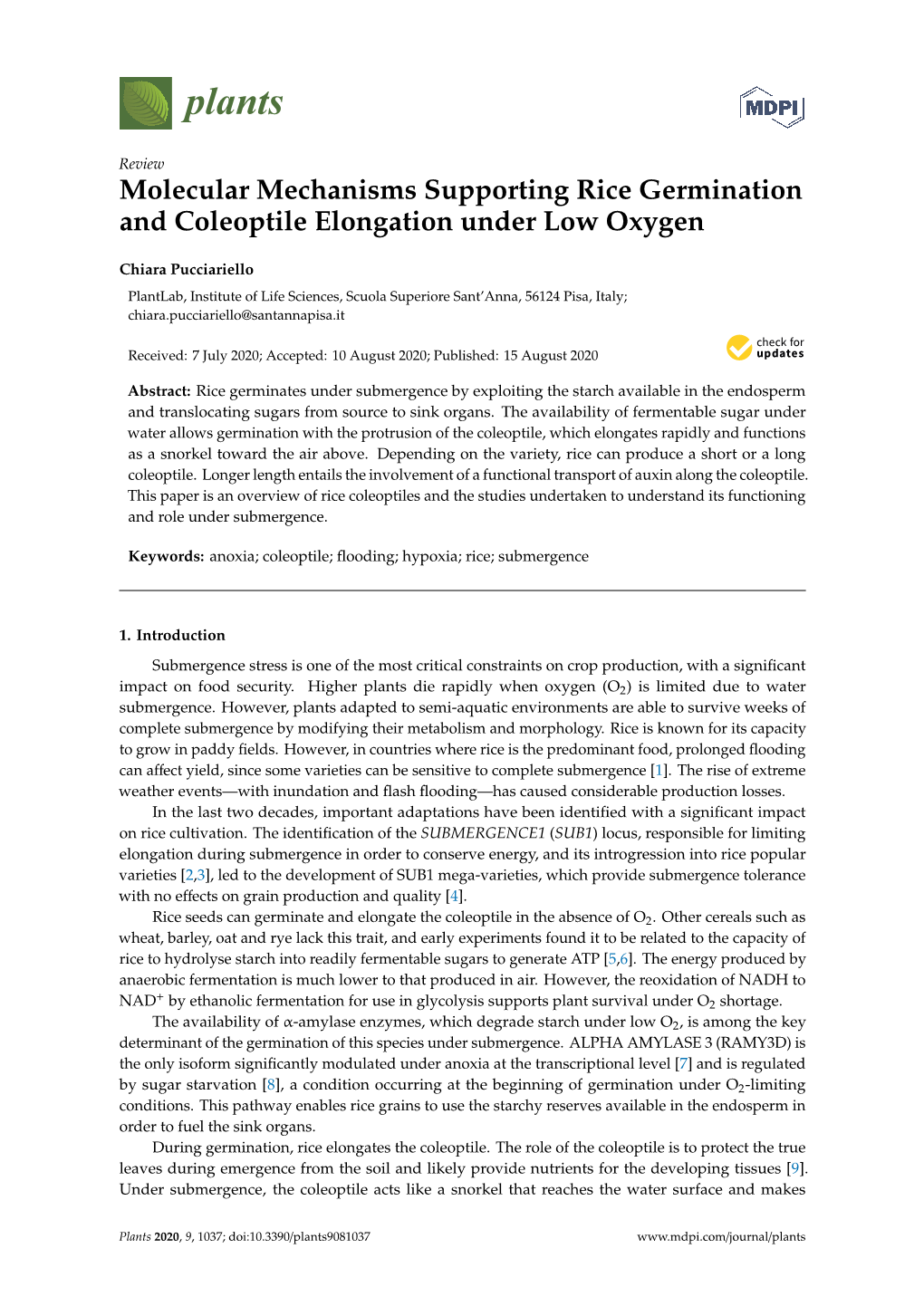 Molecular Mechanisms Supporting Rice Germination and Coleoptile Elongation Under Low Oxygen