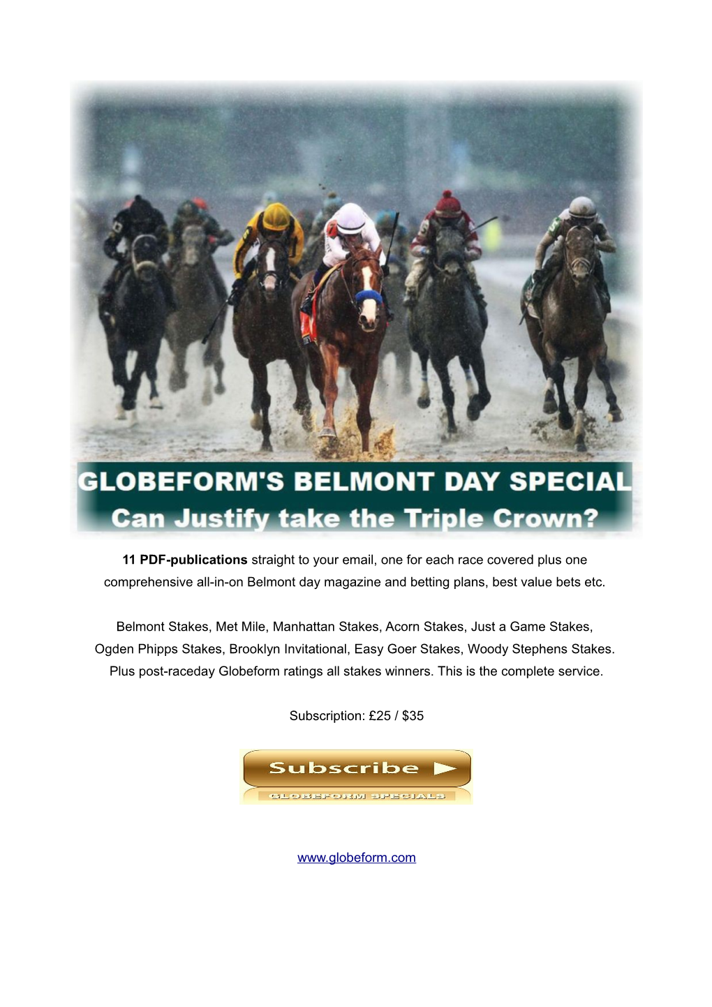 11 PDF-Publications Straight to Your Email, One for Each Race Covered Plus One Comprehensive All-In-On Belmont Day Magazine and Betting Plans, Best Value Bets Etc