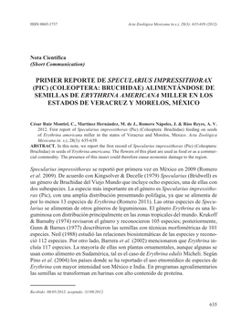 Alimentándose De Semillas De Erythrina Americana Miller En Los Estados De Veracruz Y Morelos, México