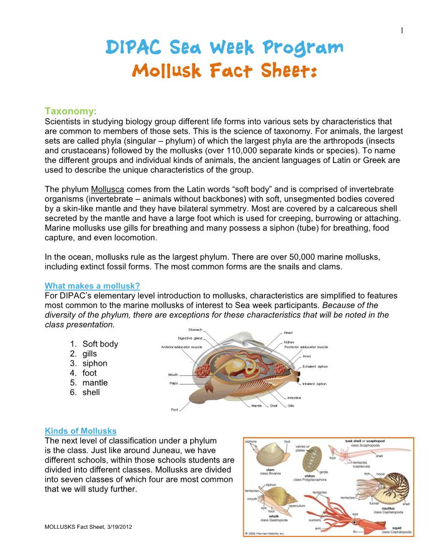 Mollusk Fact Sheet